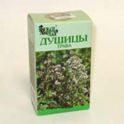 Душица обыкновенная чай